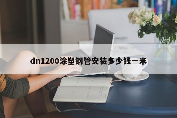 dn1200涂塑鋼管安裝多少錢一米